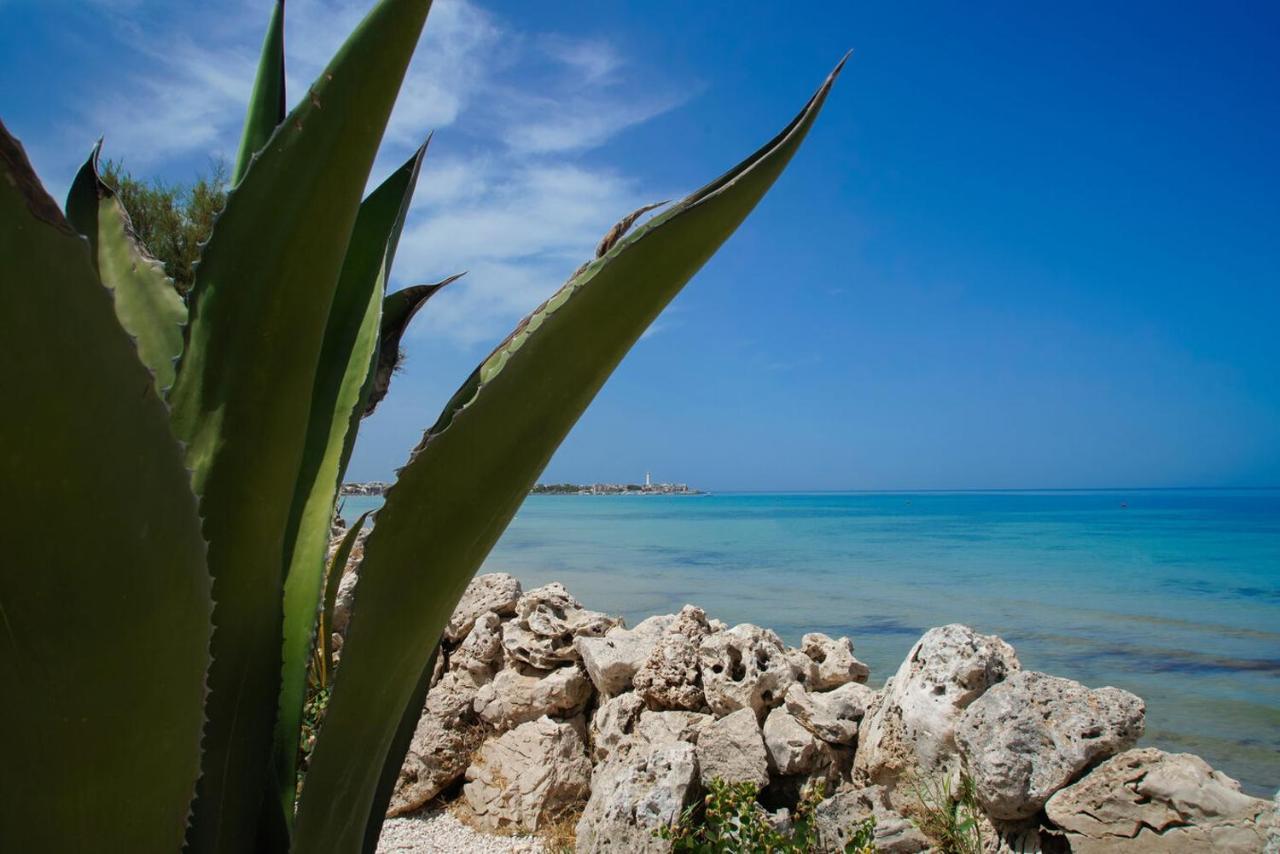 Bed and Breakfast Aurelia Sea View Торре-Канне Экстерьер фото